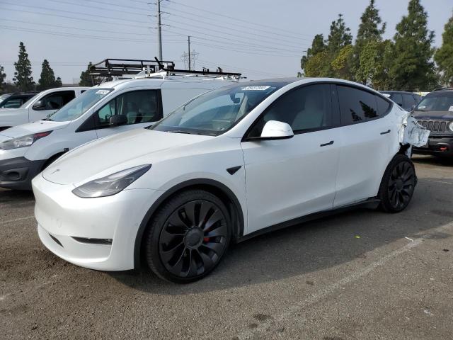 2022 TESLA MODEL Y  2022 image