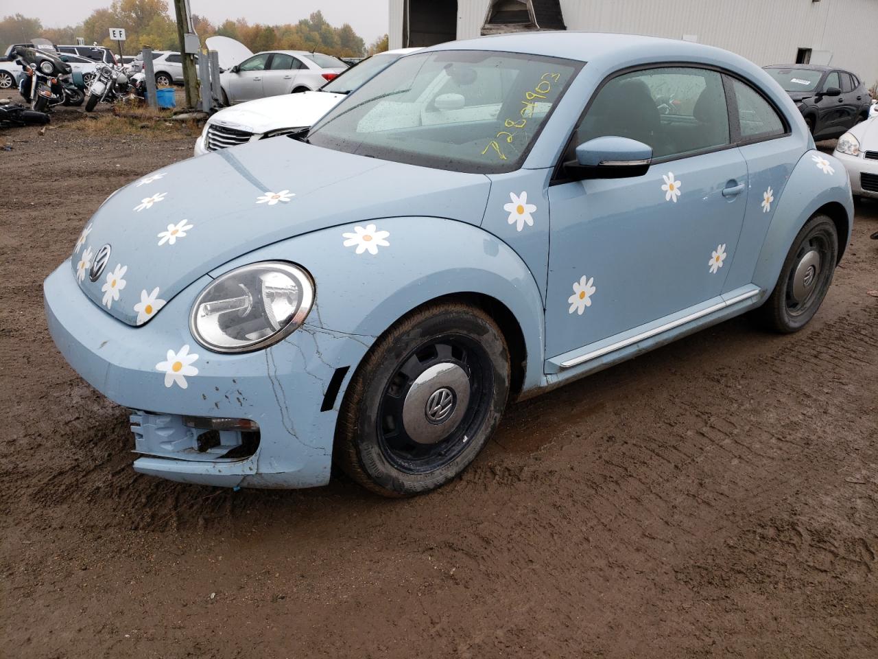 Volkswagen Beetle 2013 image