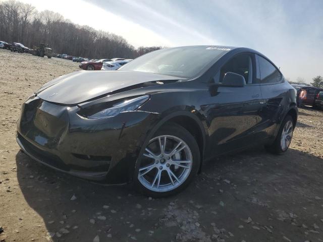 2023 TESLA MODEL Y  2023 image