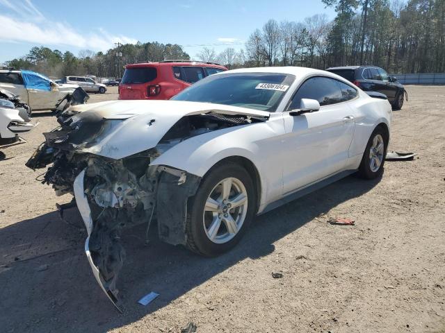 2019 FORD MUSTANG  2019 image