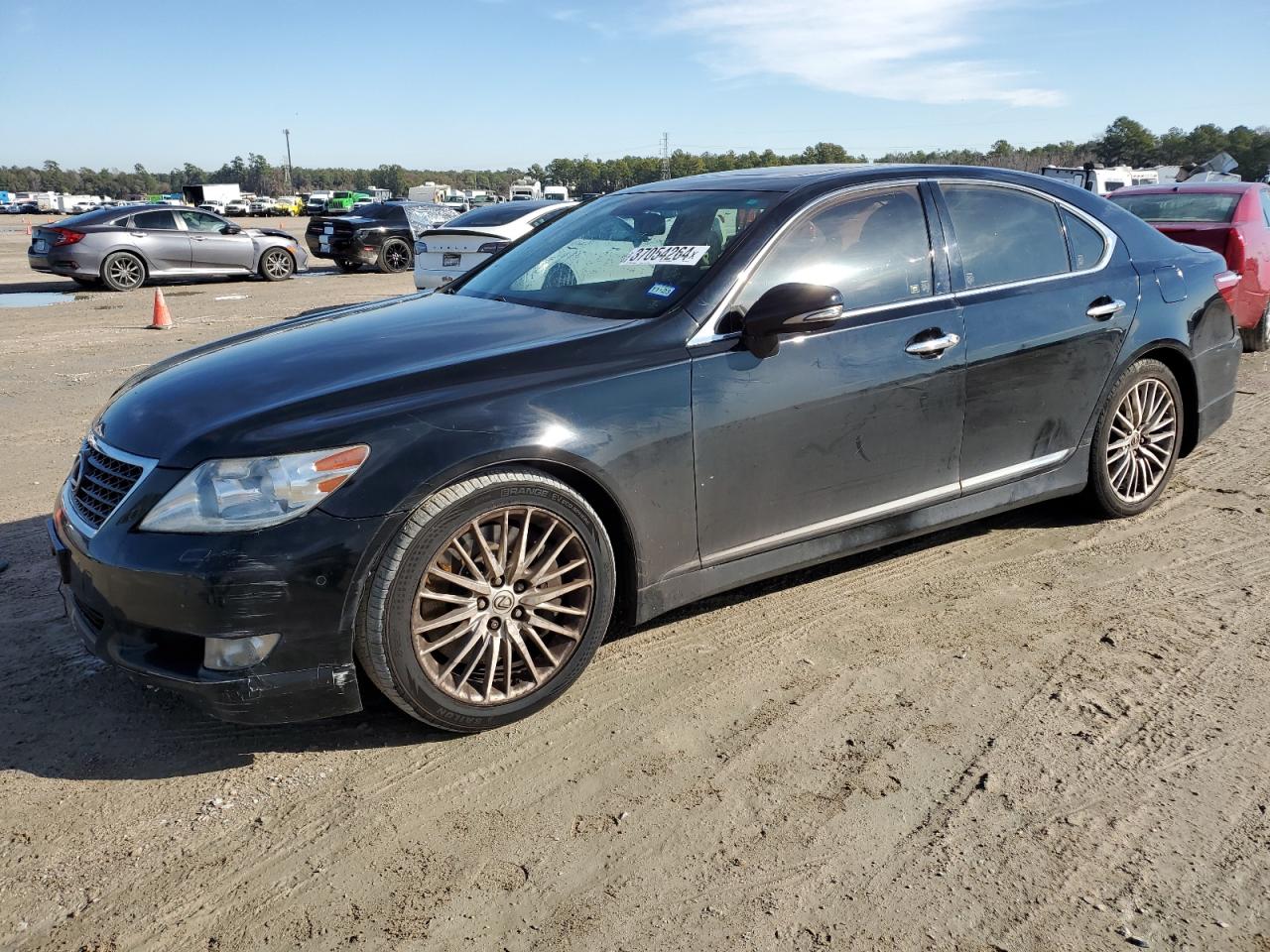2010 LEXUS LS 460 2010 image