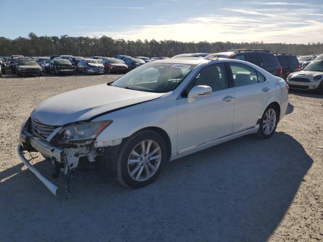 2010 LEXUS ES 350 2010 image