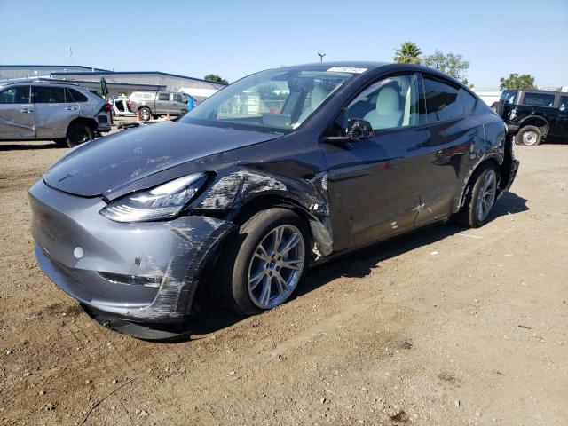 2023 TESLA MODEL Y  2023 image
