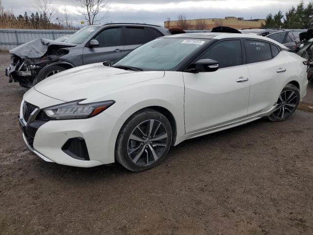 Изображение 1 2021 NISSAN MAXIMA SL 2021 с VIN 1N4AA6DV3MC508550