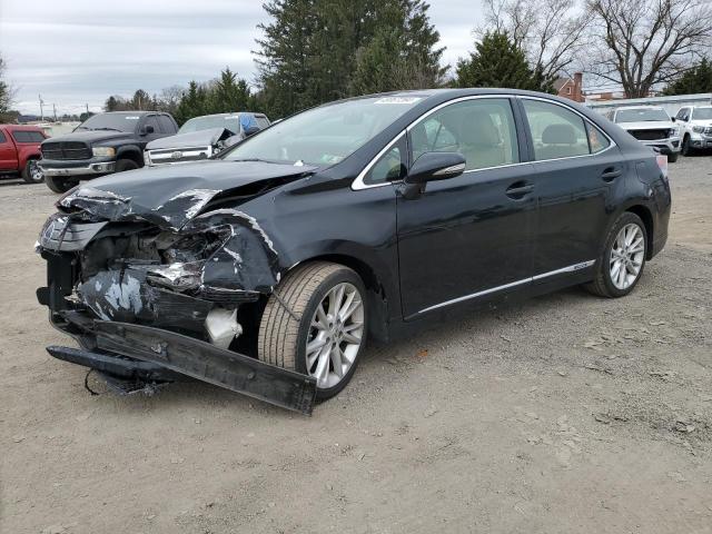 Obraz 2010 LEXUS HS 250H 2010