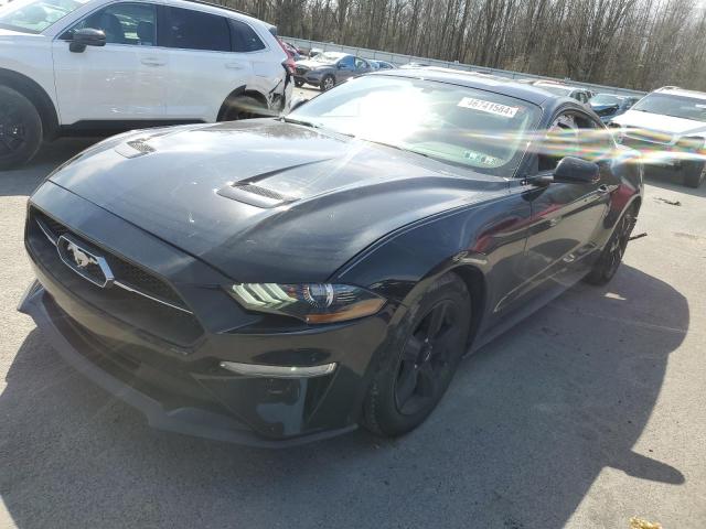 2019 FORD MUSTANG  2019 image