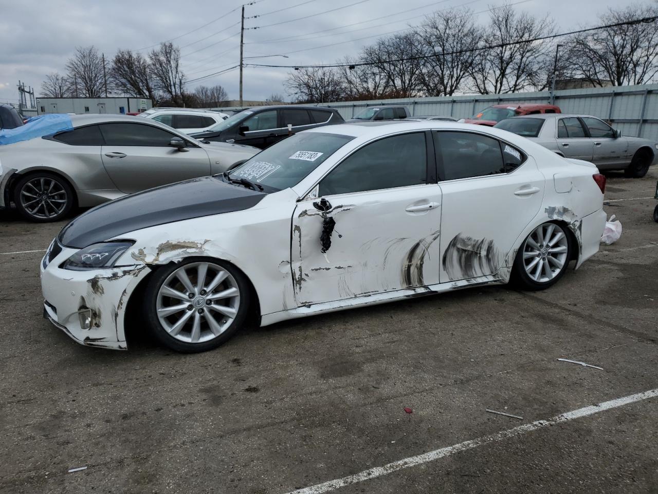 2008 LEXUS IS 250 2008 image