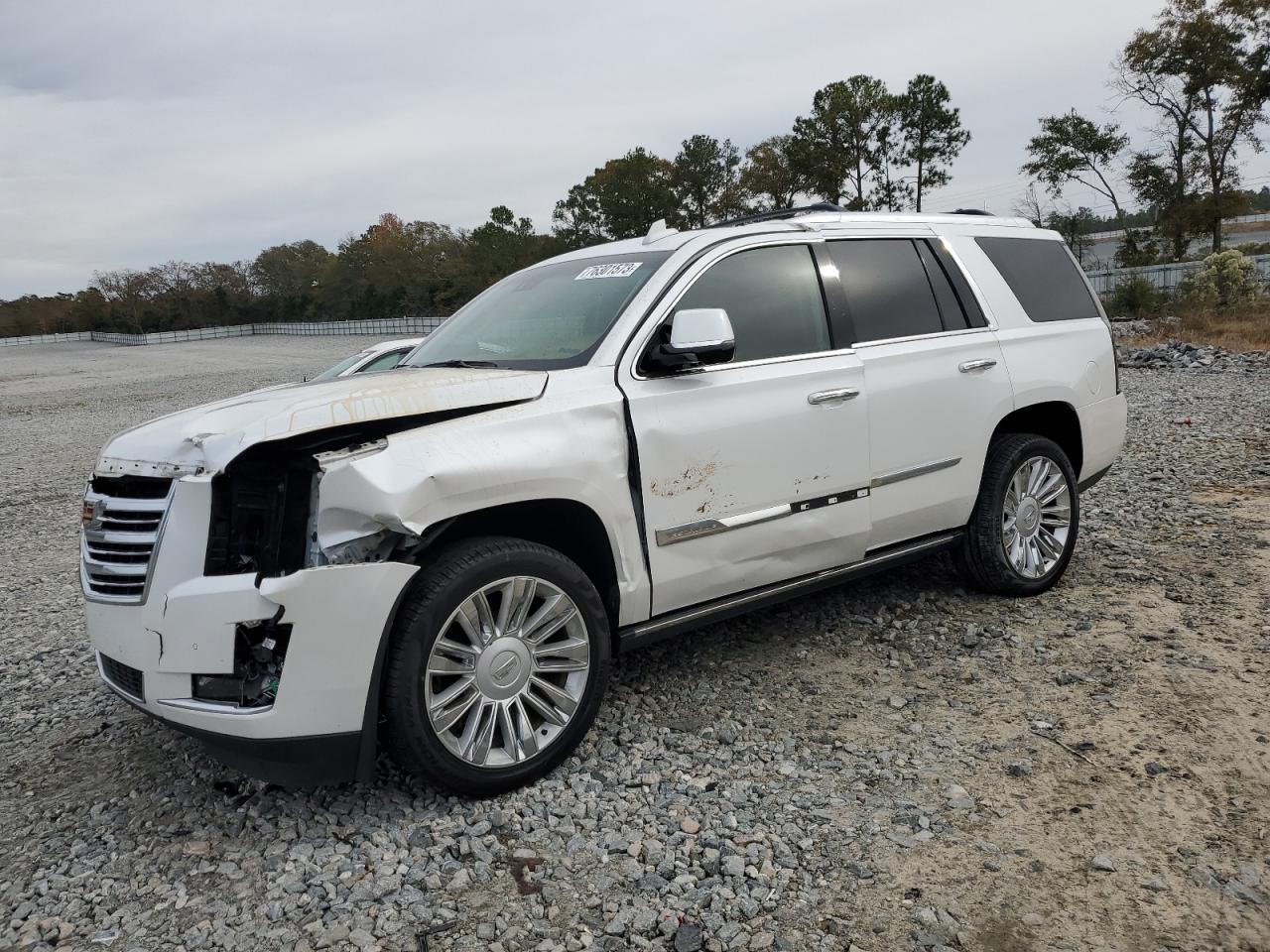 Obraz 2016 CADILLAC ESCALADE PLATINUM 2016