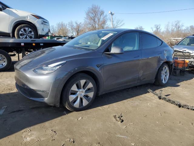 2022 TESLA MODEL Y  2022 image