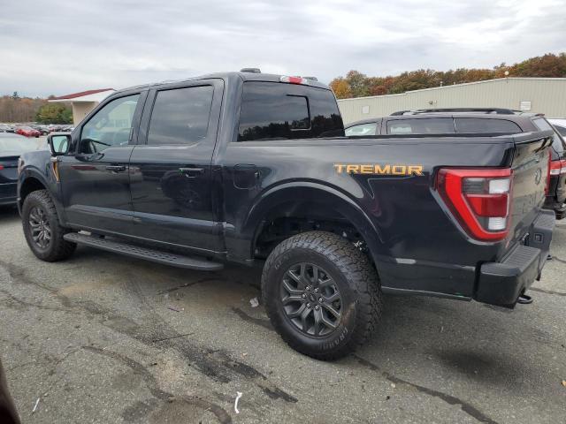 Изображение 2 2023 FORD F-150 SUPERCREW 2023 с VIN 1FTEW1E87PFB43916