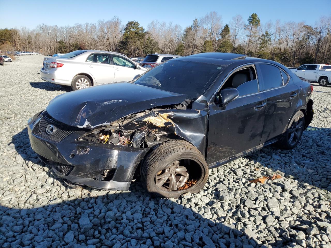 2010 LEXUS IS 250 2010 image