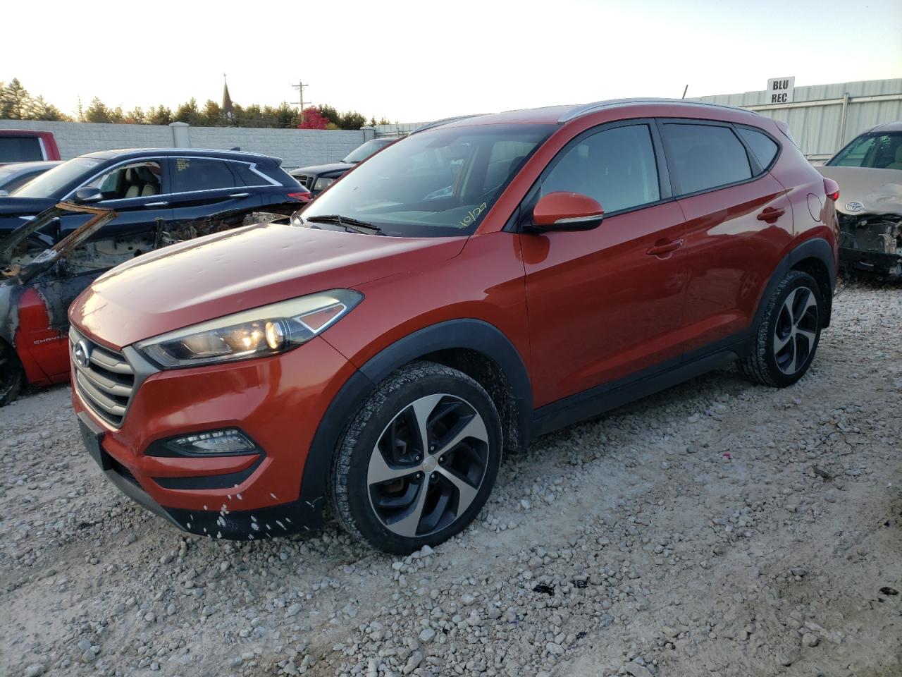 2016 HYUNDAI TUCSON LIMITED 2016 image