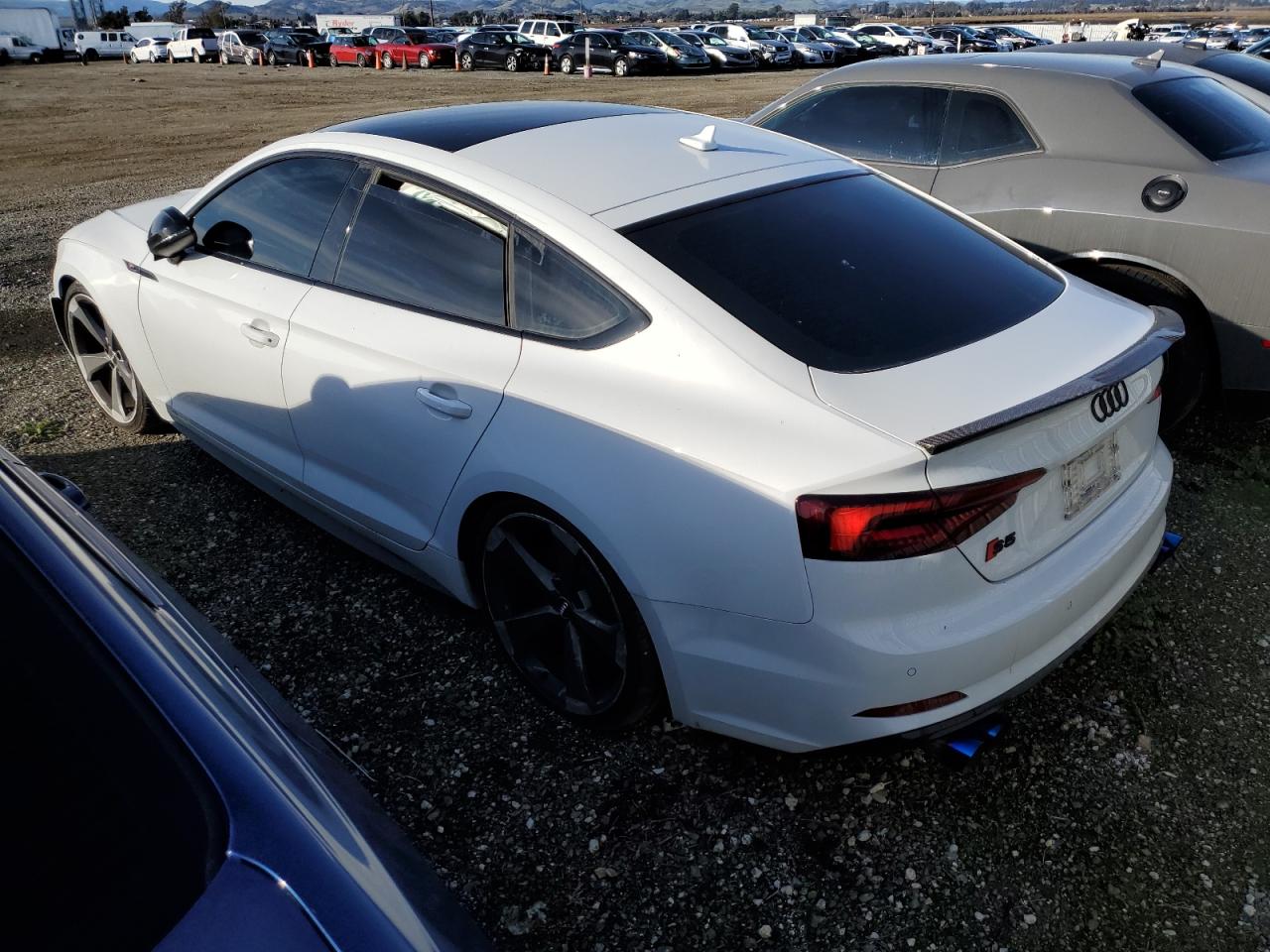 Изображение 2 2019 AUDI S5 PREMIUM PLUS 2019 с VIN WAUB4CF51KA005042