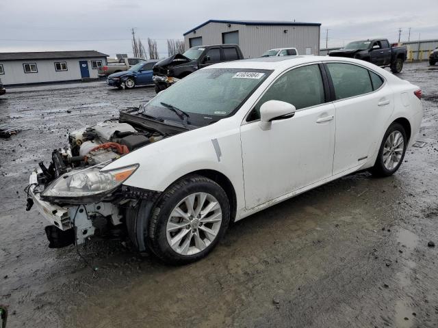 2014 LEXUS ES 300H 2014 image