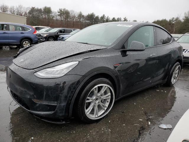 2023 TESLA MODEL Y  2023 image