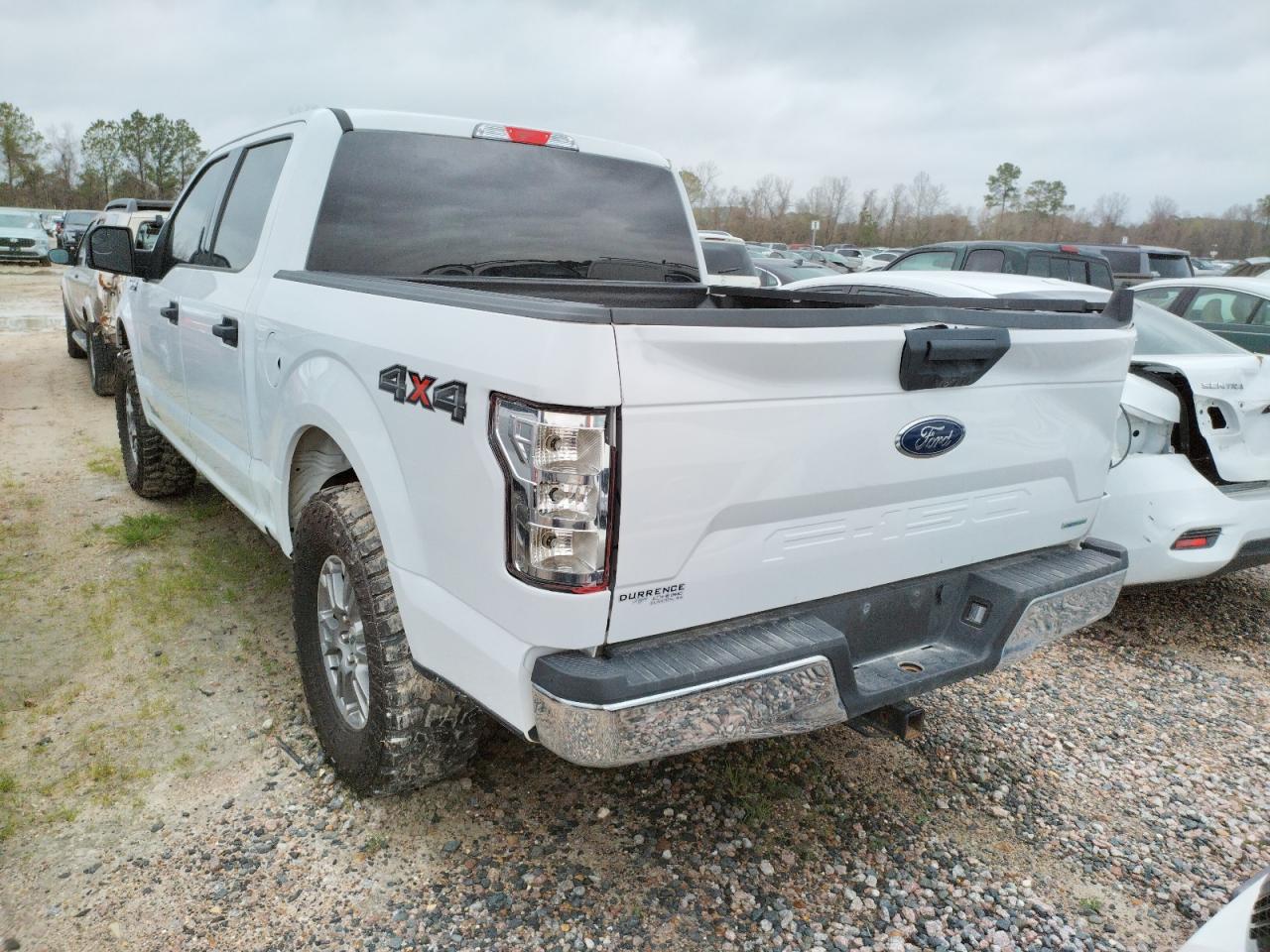 Obraz 3 z 2019 FORD F150 SUPERCREW 2019 z VIN 1FTEW1E48KKC99525