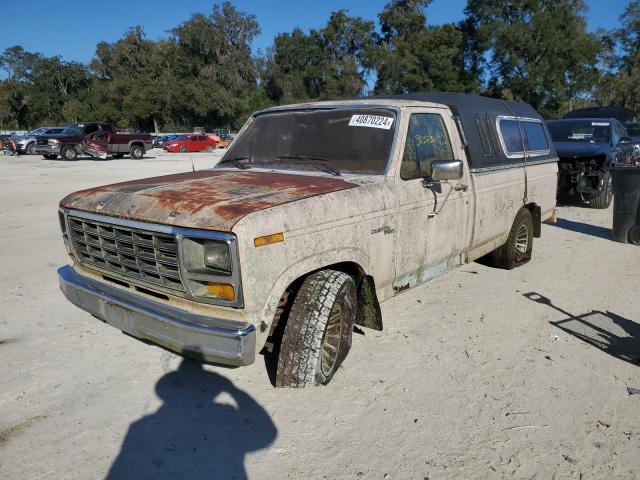 1981 FORD F100  1981 image
