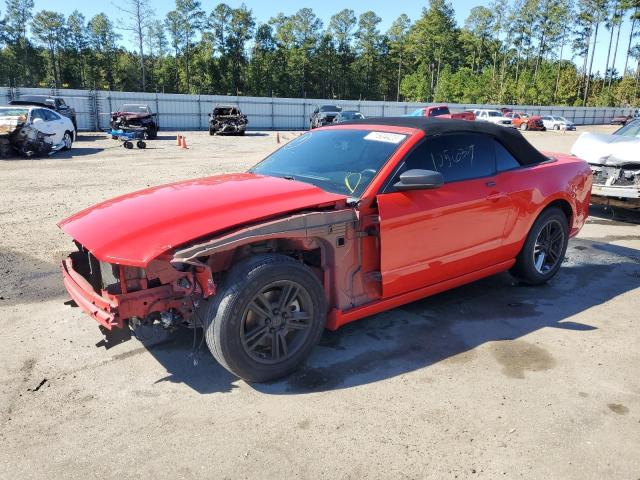 2014 FORD MUSTANG  2014 image