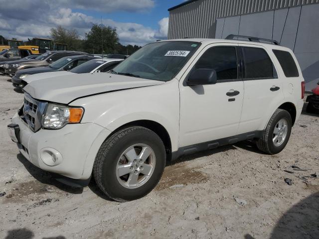 2012 FORD ESCAPE XLT 2012 image