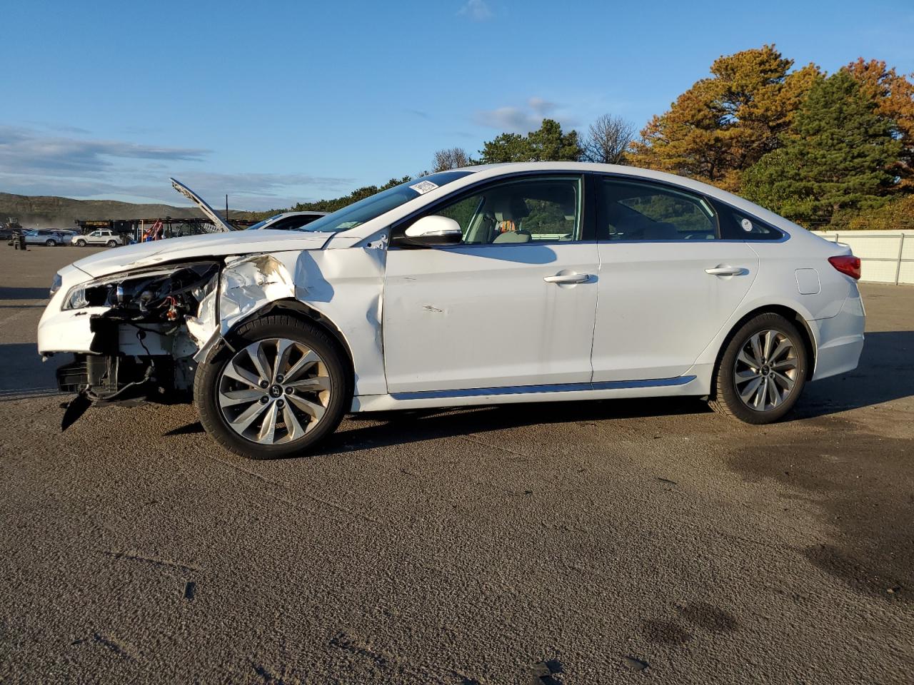 Image 1 of 2017 HYUNDAI SONATA SPORT 2017 with VIN 5NPE34AF5HH539106