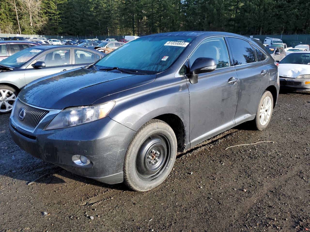 Изображение 2010 LEXUS RX 450 2010
