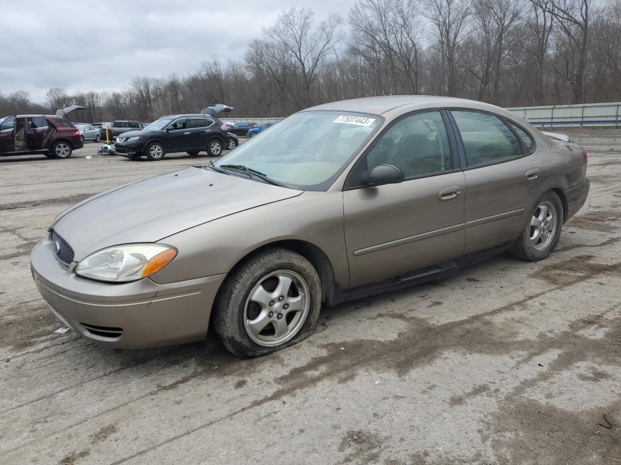 2005 FORD TAURUS SE 2005 image