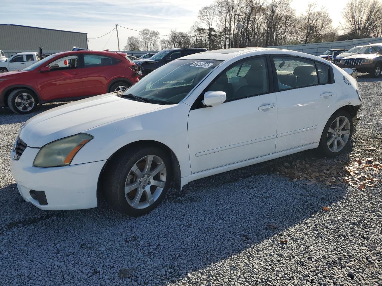 Obraz 2008 NISSAN MAXIMA SE 2008