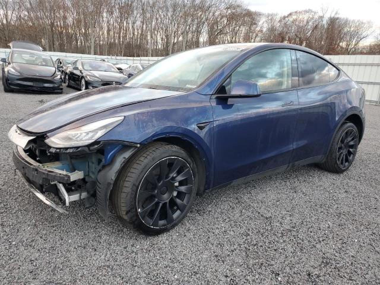 2022 TESLA MODEL Y  2022 image