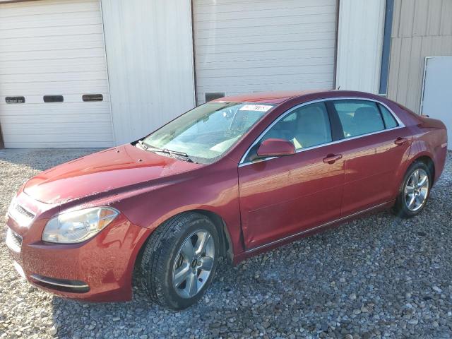 Image 1 of 2011 CHEVROLET MALIBU 1LT 2011 with VIN 1G1ZC5E16BF303502