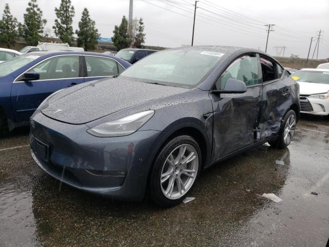 2023 TESLA MODEL Y  2023 image