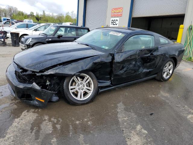 Image 1 of 2010 FORD MUSTANG  2010 with VIN 1ZVBP8AN2A5164140