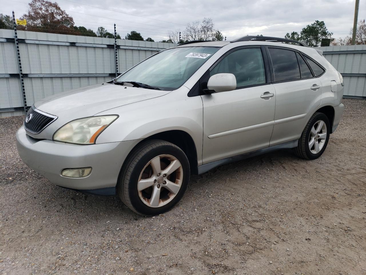 Obraz 2007 LEXUS RX 350 2007