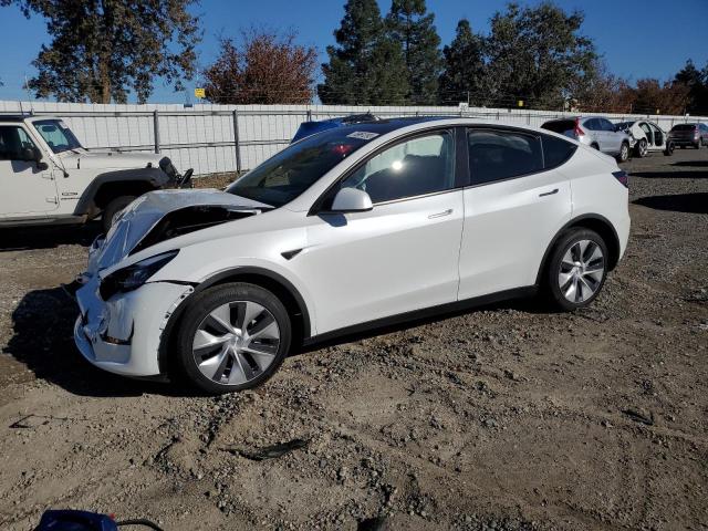 2023 TESLA MODEL Y  2023 image