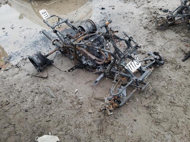 Obraz 1997 HONDA TRX300 EX 1997