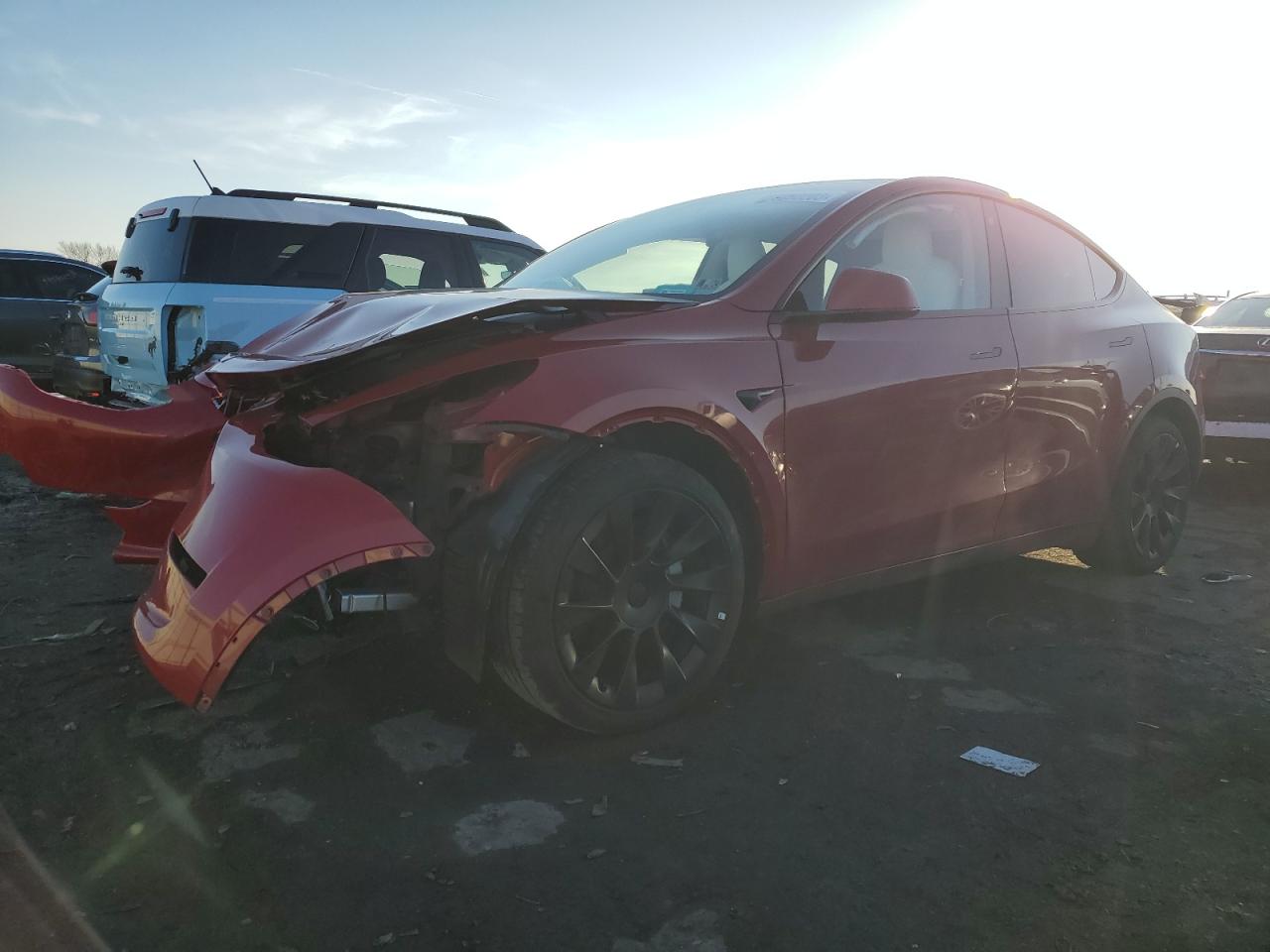 Obraz 2023 TESLA MODEL Y  2023
