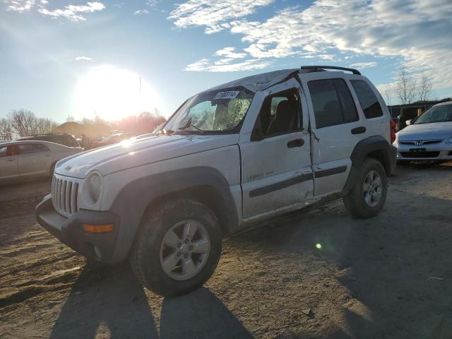 Изображение 1 2003 JEEP LIBERTY SPORT 2003 с VIN 1J4GL48K23W671975