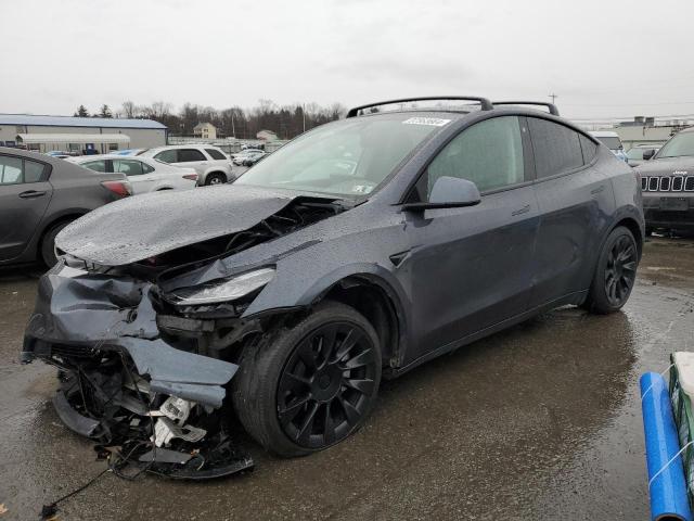 2021 TESLA MODEL Y  2021 image