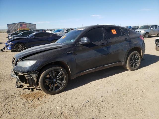 2011 BMW X6 M 2011 image
