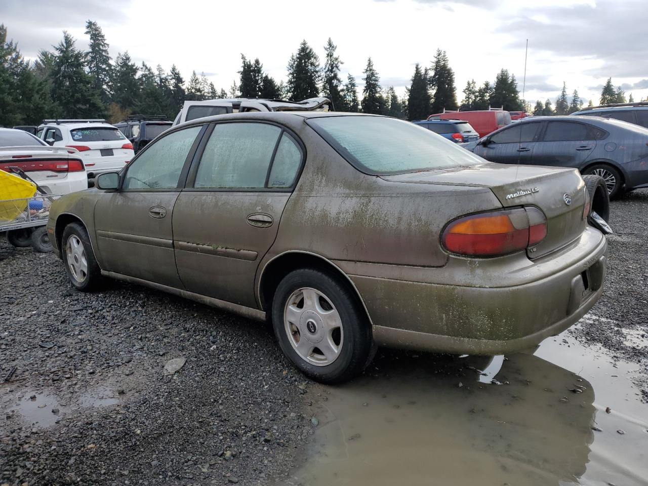 Obraz 2 z 2001 CHEVROLET MALIBU LS 2001 z VIN 1G1NE52J116234469