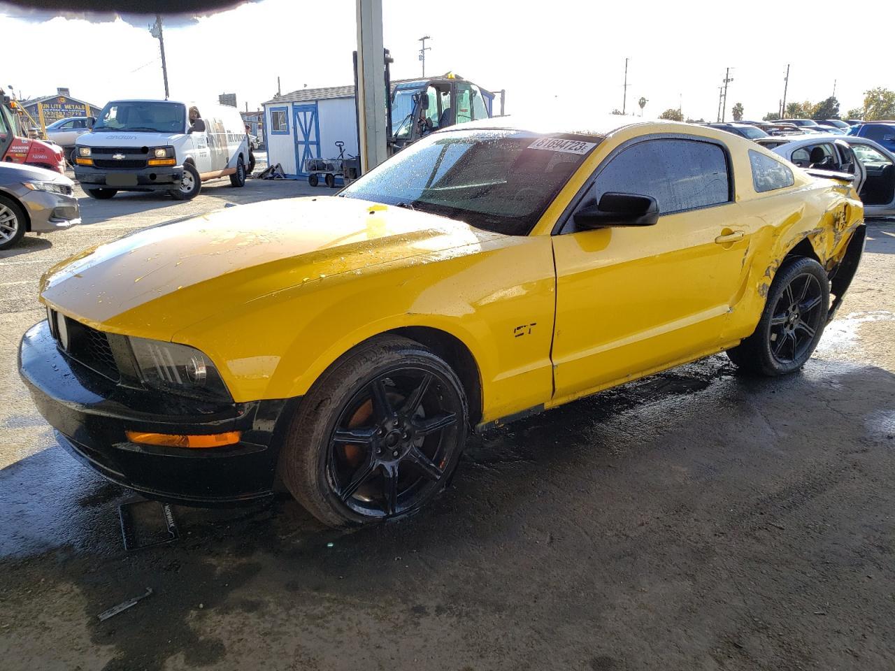 2005 FORD MUSTANG  2005 image