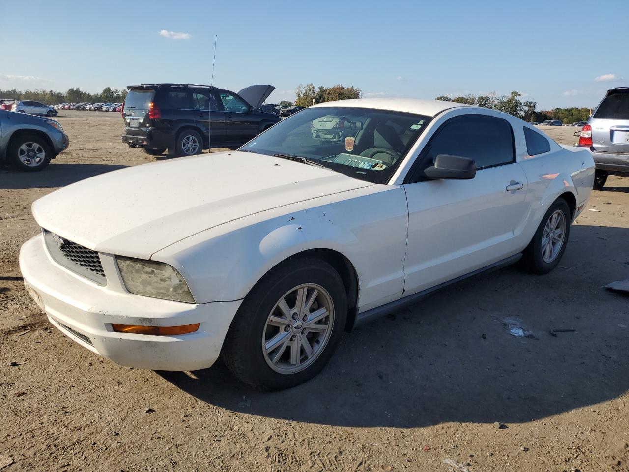 2005 FORD MUSTANG  2005 image