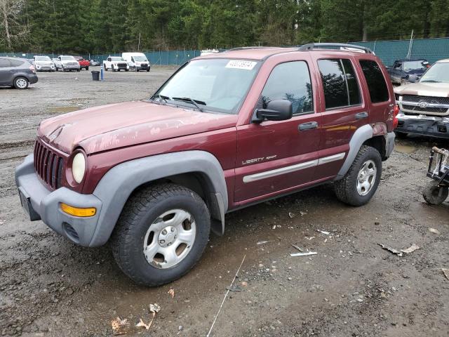 Obraz 2002 JEEP LIBERTY SPORT 2002