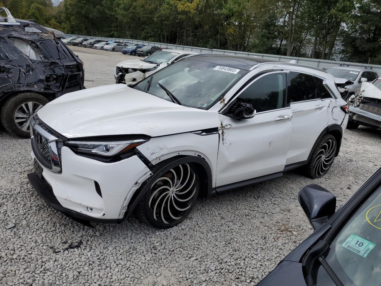 2021 INFINITI QX50 LUXE 2021 image