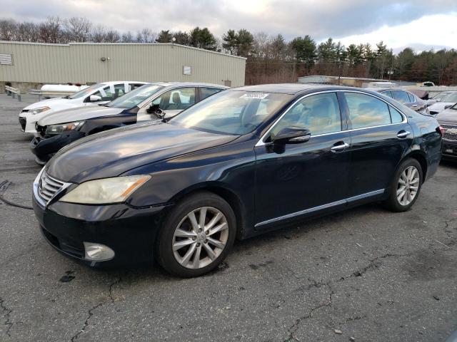 Obraz 2010 LEXUS ES 350 2010