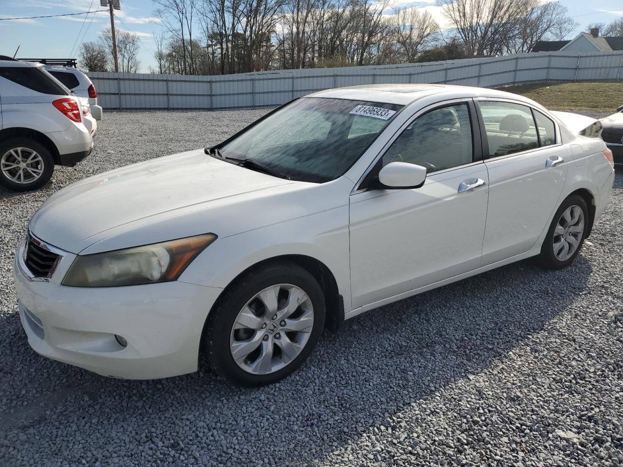 2008 HONDA ACCORD EXL 2008 image