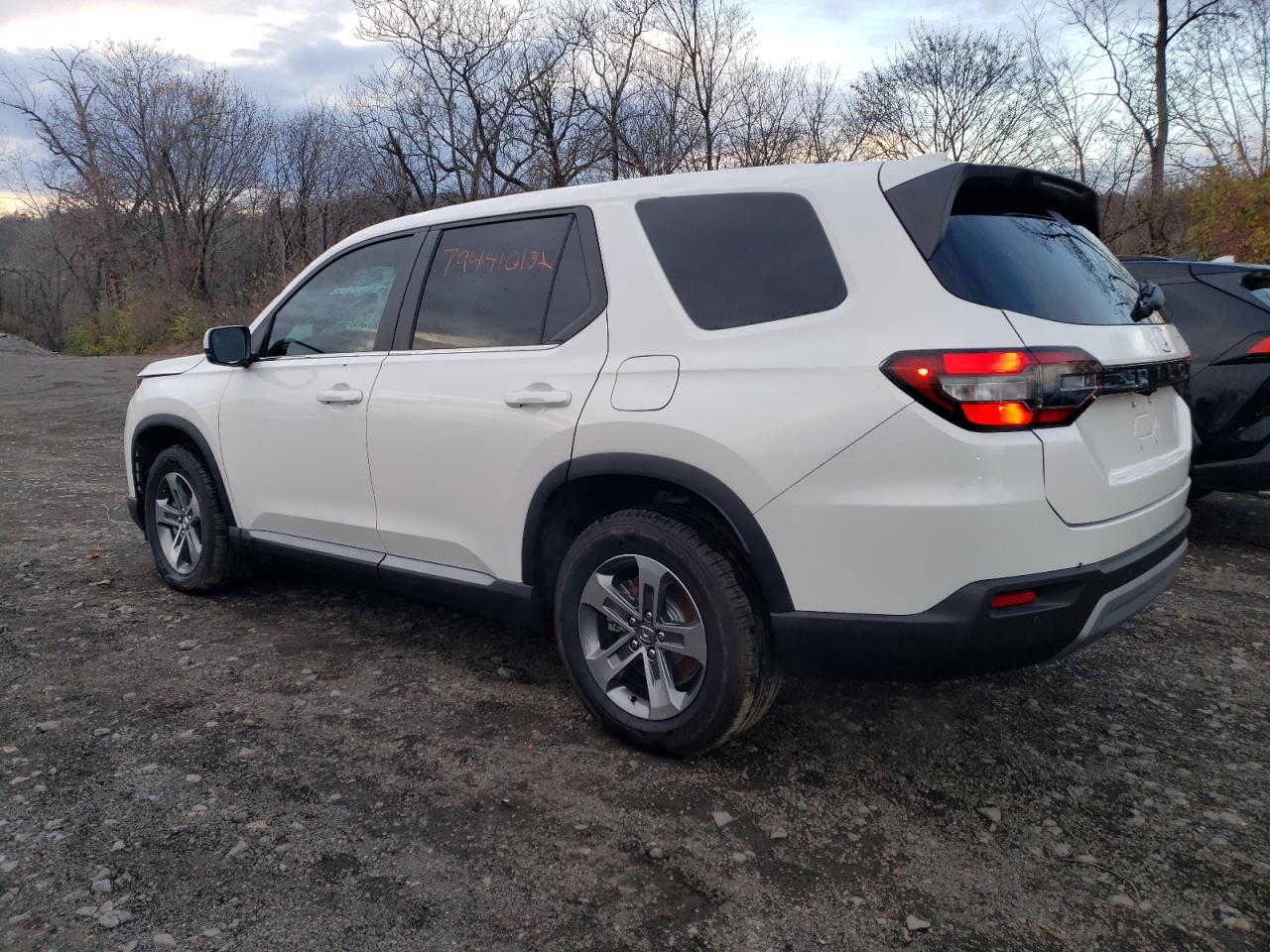 Изображение 2 2023 HONDA PILOT EXL 2023 с VIN 5FNYG2H59PB008488
