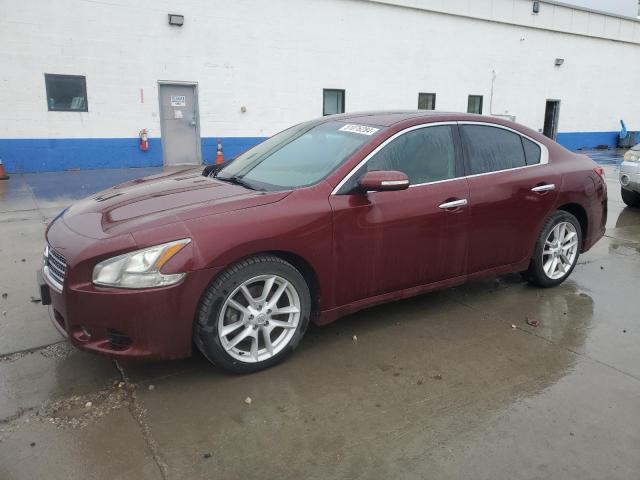 Изображение 1 2009 NISSAN MAXIMA S 2009 с VIN 1N4AA51E09C845490