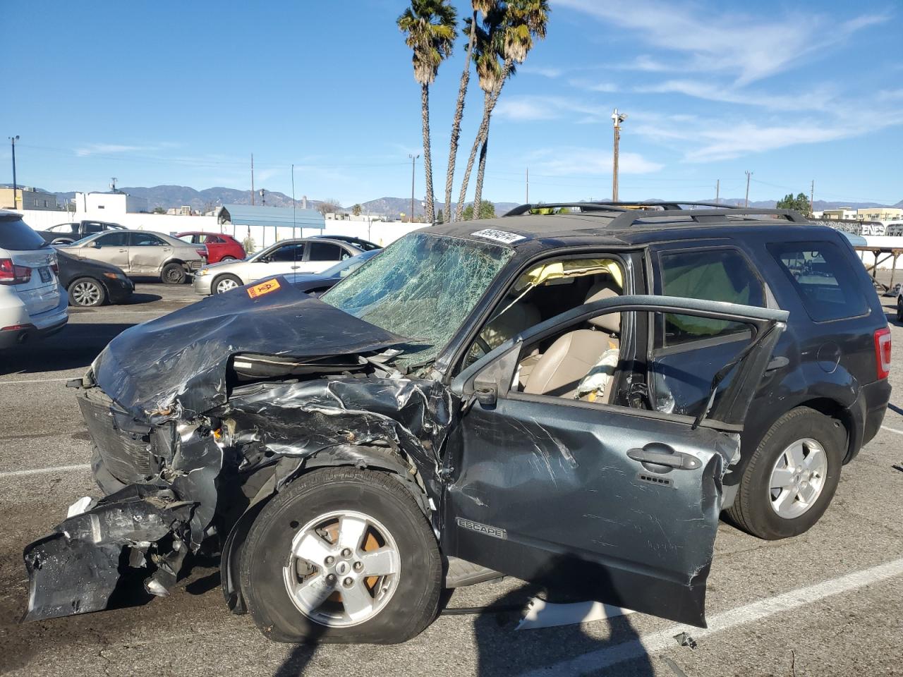 2008 FORD ESCAPE XLT 2008 image