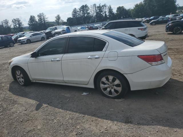 Изображение 2 2008 HONDA ACCORD EXL 2008 с VIN 1HGCP36848A066887