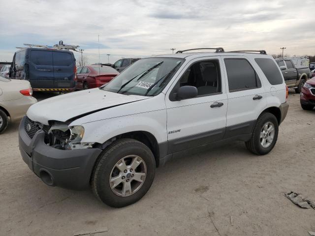 Obraz 2007 FORD ESCAPE XLT 2007